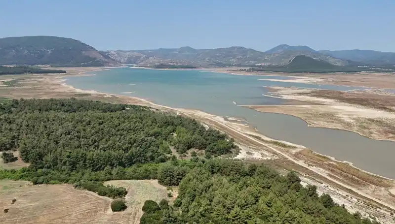 İzmir'de Tehlike Zili Çalmaya Başladı: Yüzde 50 Düşüş Ne Anlama Geliyor?