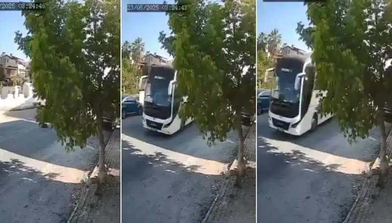 Yolda Yatan Köpeği Ezip Geçen Araç, Gözyaşlarıyla Dolu Bir Anı Ortaya Çıkardı