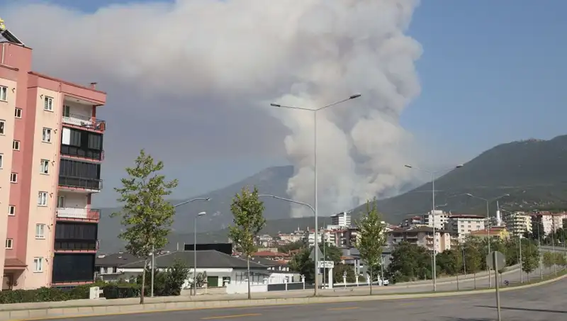 Denizli’de Orman Yangını Paniği: Gözaltında Şüpheli Var!