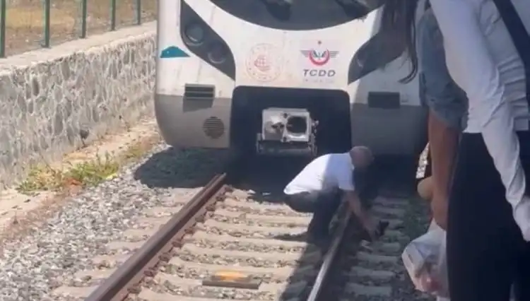 Marmaray Makinistinin Kahramanlığı: Raylardaki Kediyi Nasıl Kurtardı?