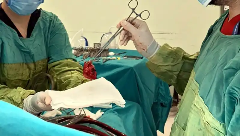 Kalp Kapağındaki Mucize: 7 Saatlik Ameliyatla Yeni Bir Hayat