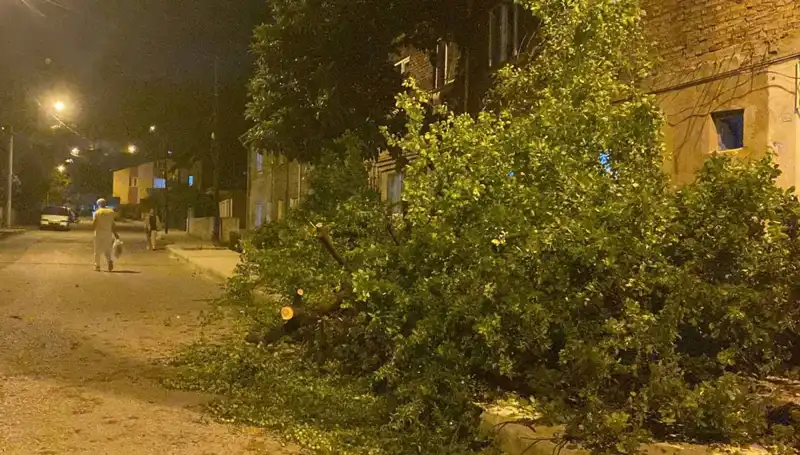 Karabük'te Fırtına: Doğanın Gücü Şehri Salladı!