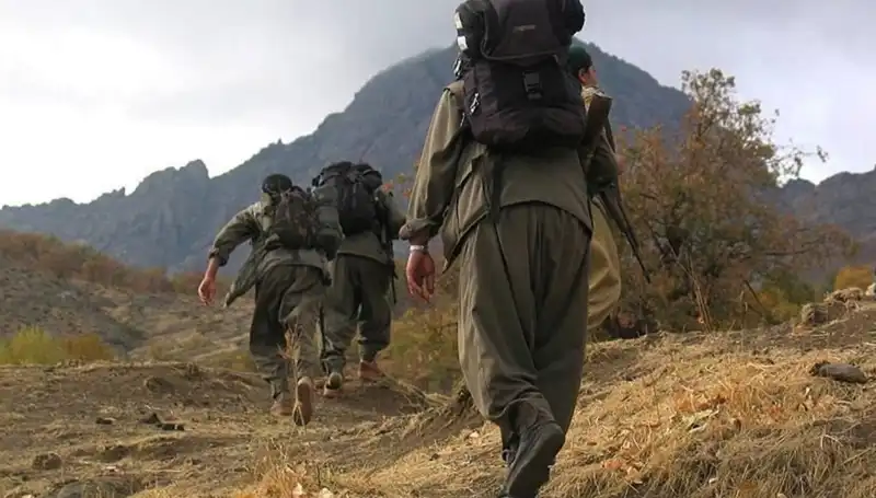 Türkiye'de Terörsüz Zirve: Öcalan'ın Mesajı Kandil'e Ulaşıyor