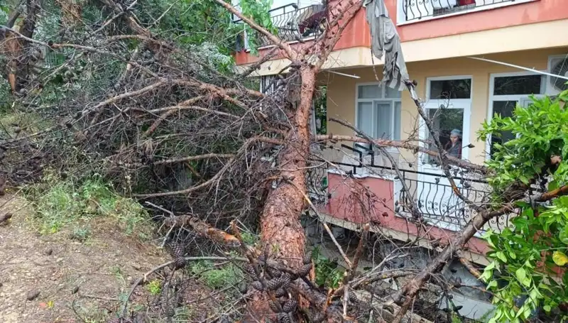 Yağmur ve Rüzgarın Kurbanı: Bina Çöktü, Güvenlik Tartışmaları Başladı