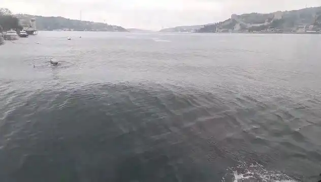 İstanbul Boğazı'nda Dalgalar Yükseldi: Denizde Yaşanan Olaylar
