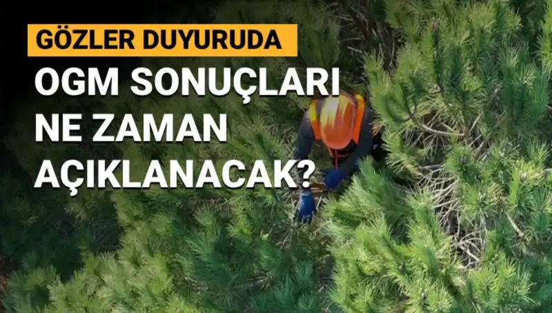 OGM Personel Alımı Duyurusu: 3.477 Sözleşmeli Pozisyon için Sonuçlar Ne Zaman Açıklanacak?