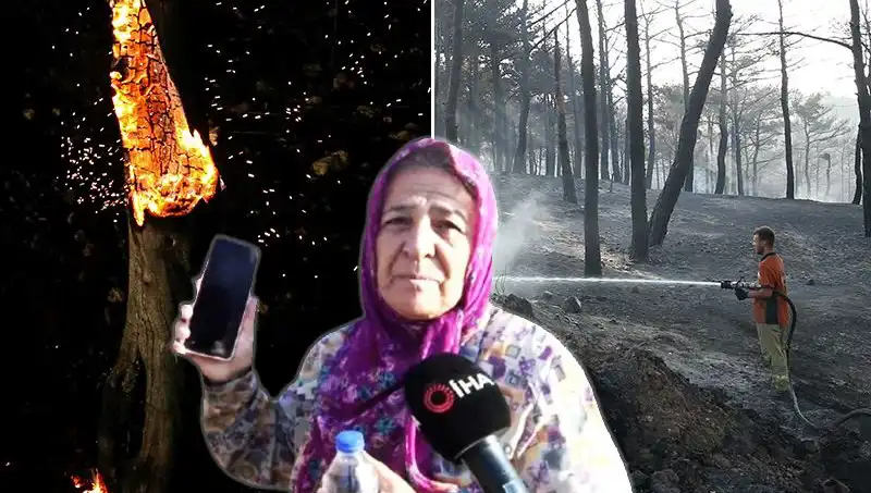 Çanakkale Orman Yangınları Kontrol Altına Alındı, Ama Geriye Kalanlar Üzüyor