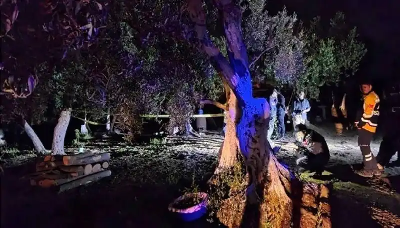 Çiftlikteki Baltalı Vahşet: Sonunda Bir Tutuklama Gerçekleşti