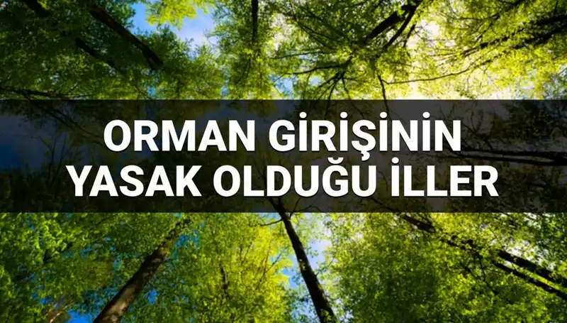2025'te Hangi İllerde Orman Girmek Yasak Olacak? Öğrenin!