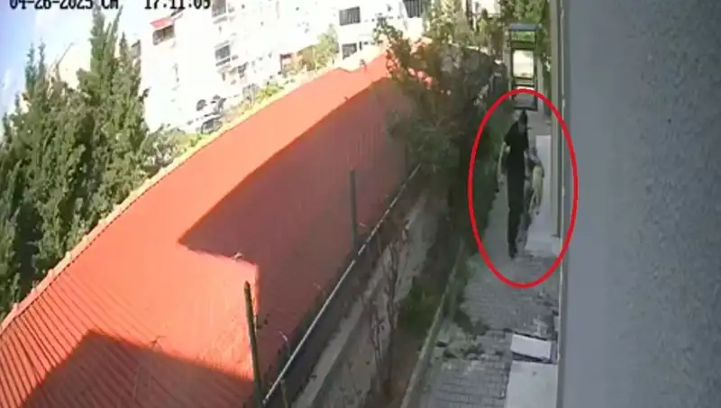 : Vahşet! Veteriner Doktor Sahiplendiği Köpekleri Neden Parçaladı?