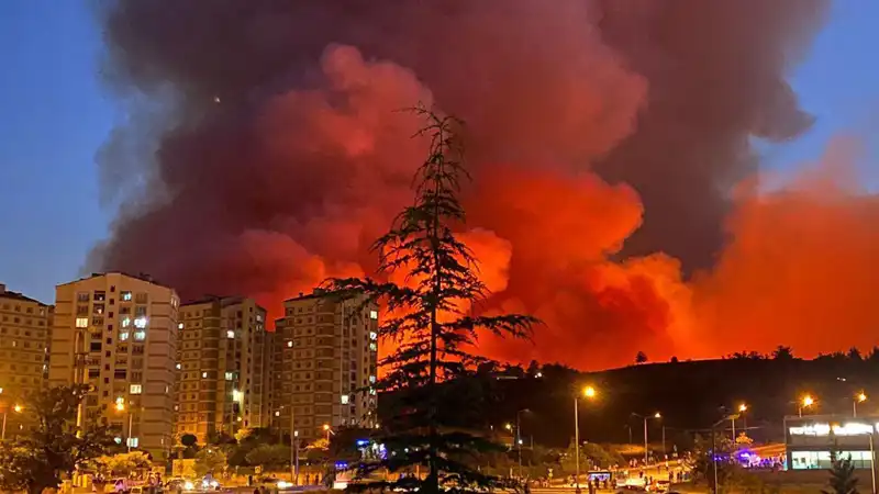Bursa'da Yangınlar Şehri Sararken, Vatandaşlar Ne Yapmalı?