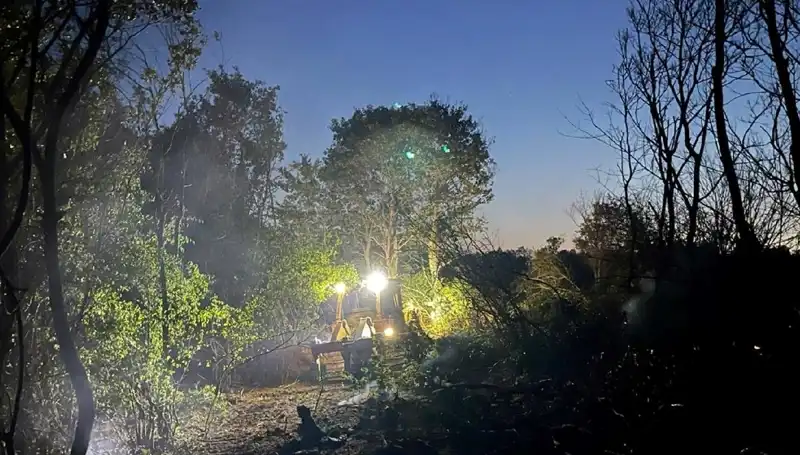 Edirne’deki Orman Yangını Kontrol Altına Alındı: Yangın Neden Çıktı?