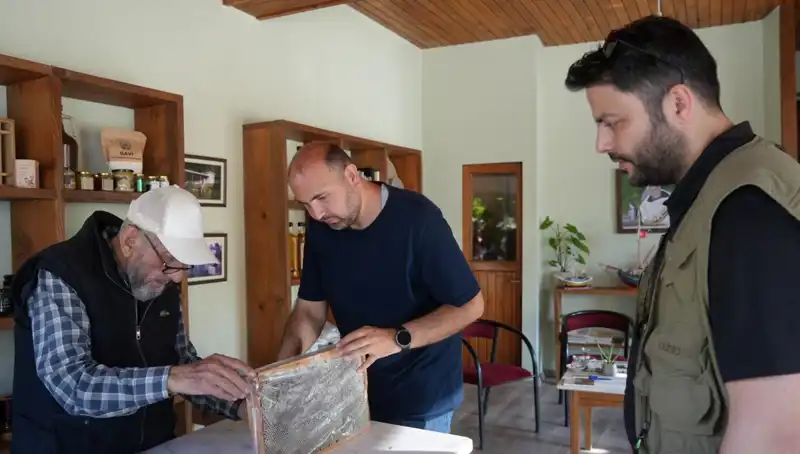 Çay Kaşığıyla Şifa: Faydaları ve Dikkat Edilmesi Gerekenler